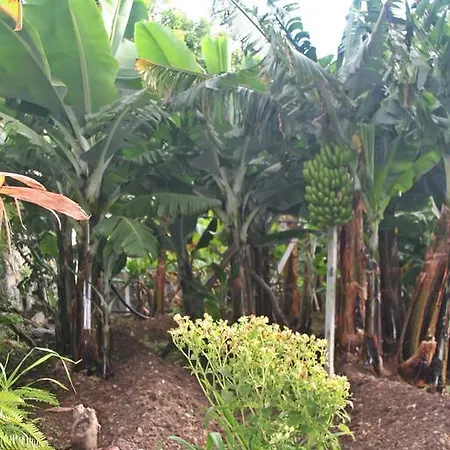 Villa Catanho Funchal  Exterior photo